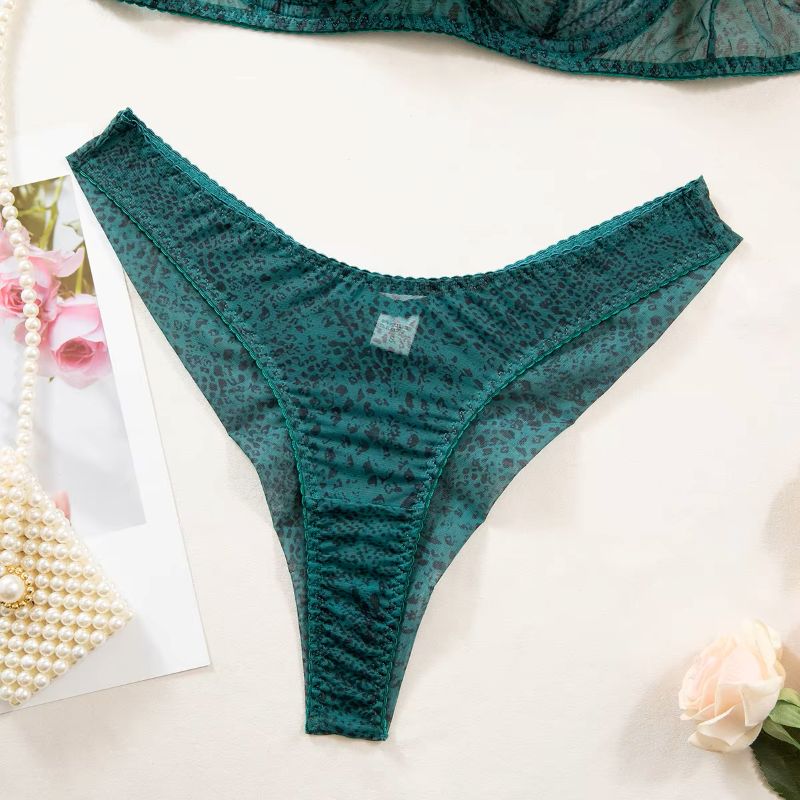 2pcs/Set Woman Lingerie Gather - Sheer Mesh Bra reseña y precio