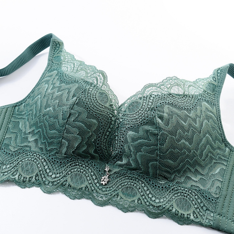 Women Lace Underwears Bra With - Nursing Bra Clip reseña y precio